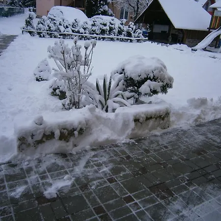 Viktoria Guest house Besenova