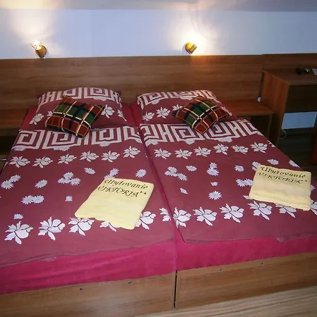 Guest house Viktoria 2*