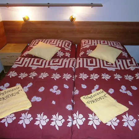Viktoria Guest house Besenova