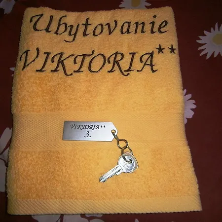 Guest house Viktoria 2*
