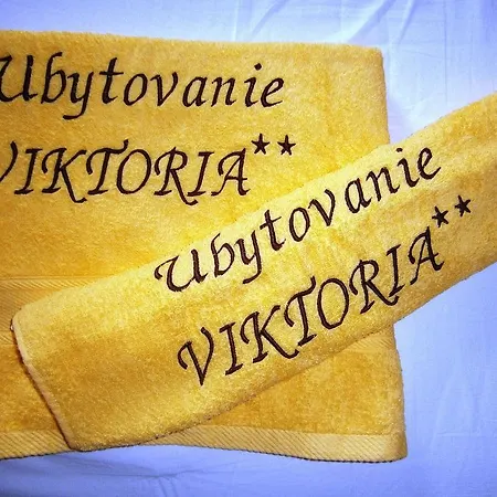 Guest house Viktoria 2*